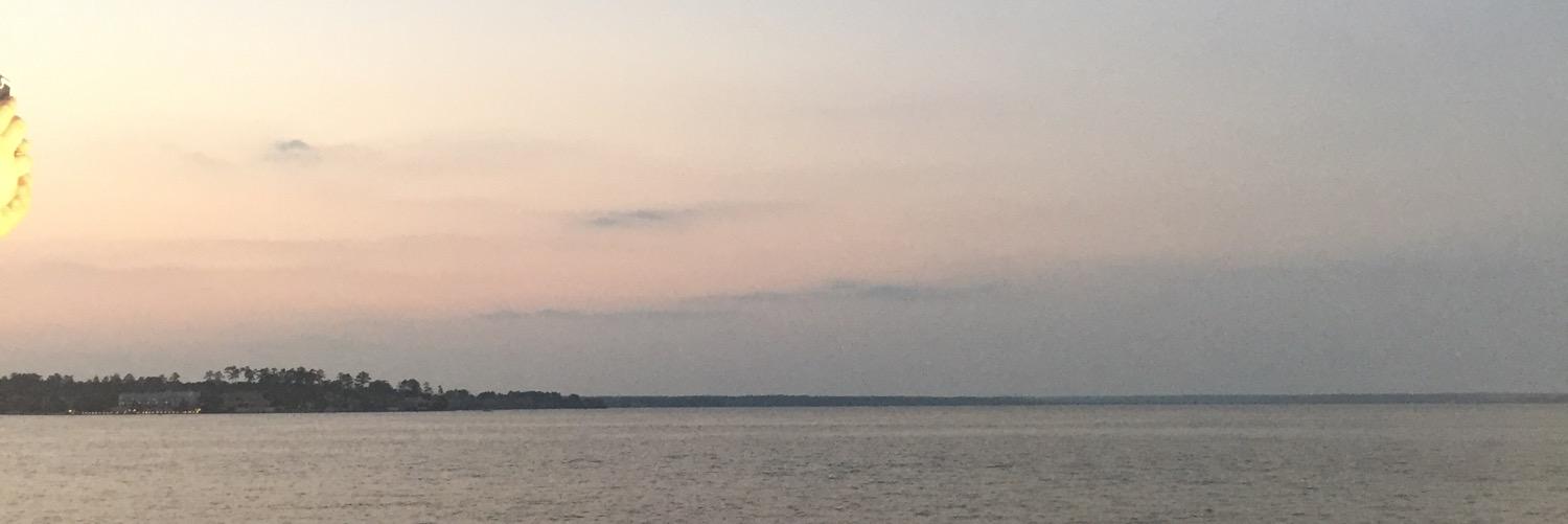 RedVixen1978's profile banner image