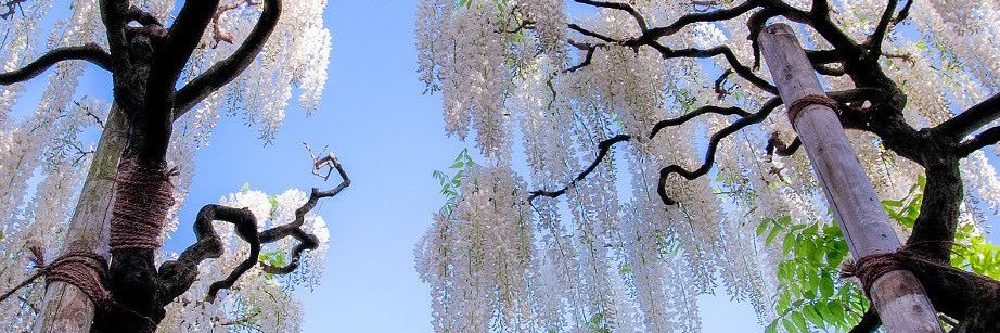 itstamarah_'s profile banner image