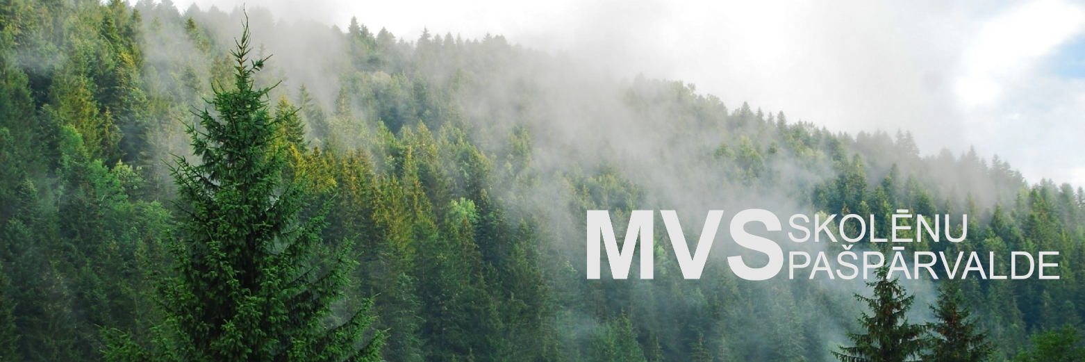 mvs_pasparvalde's profile banner image