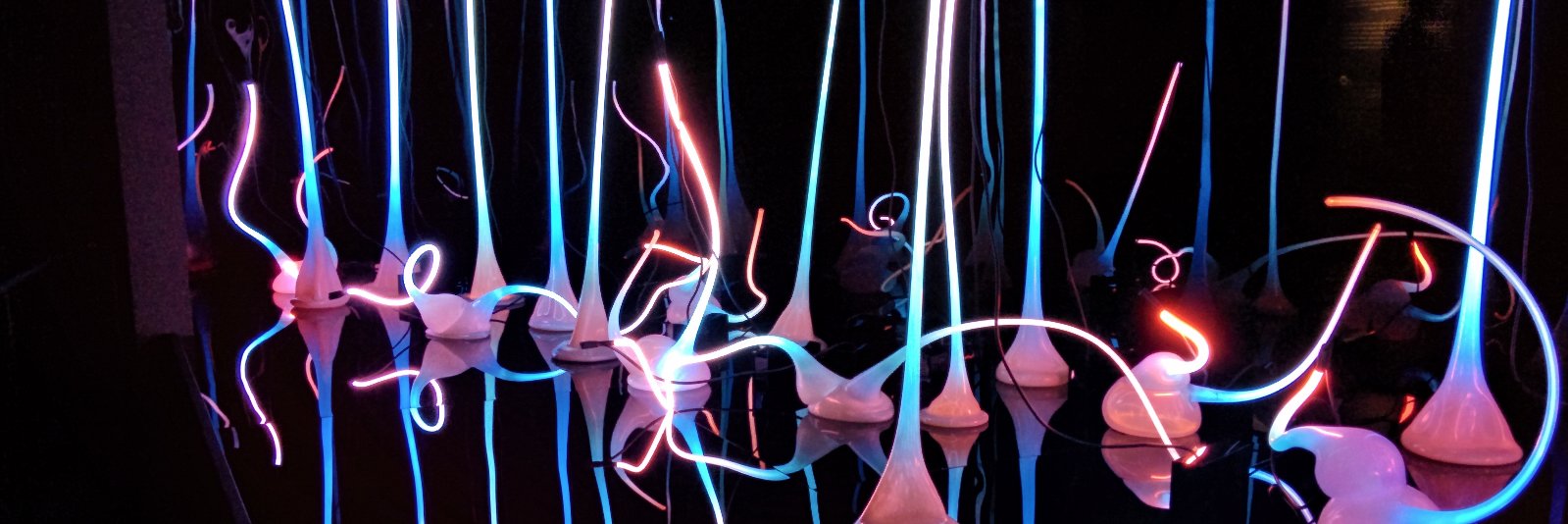 John Zizak banner