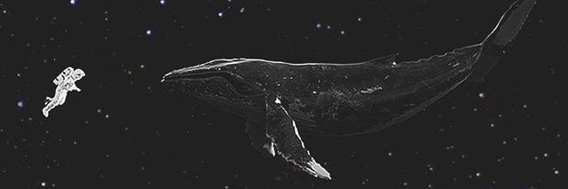Mavarorange's profile banner image
