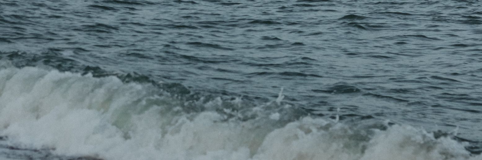 DreamingWriter4's profile banner image