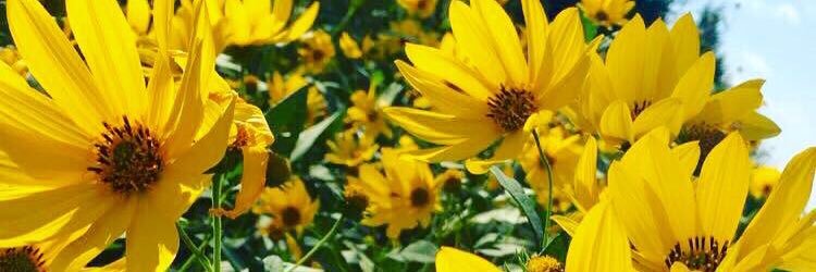 shelbyloree73's profile banner image