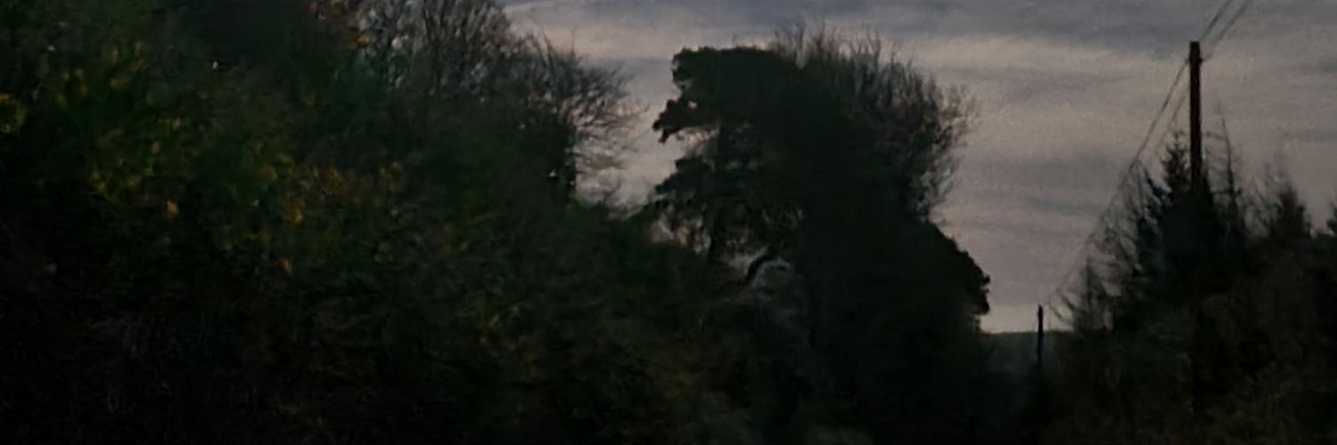 Robbfitz's profile banner image