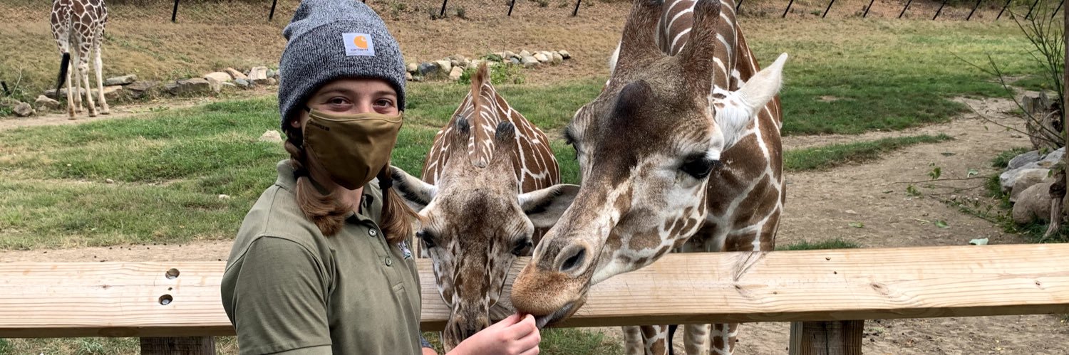 AllisonFarris's profile banner image