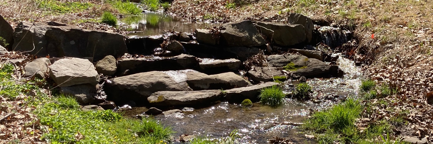 par4160's profile banner image