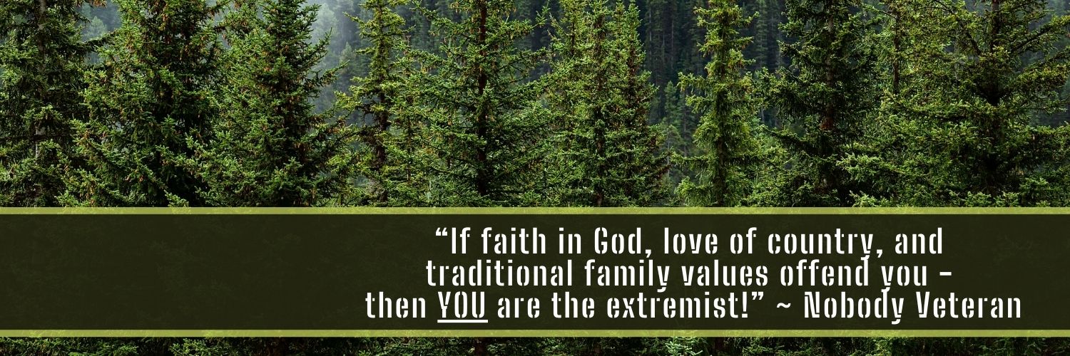 NobodyVeteran 🇺🇸 banner