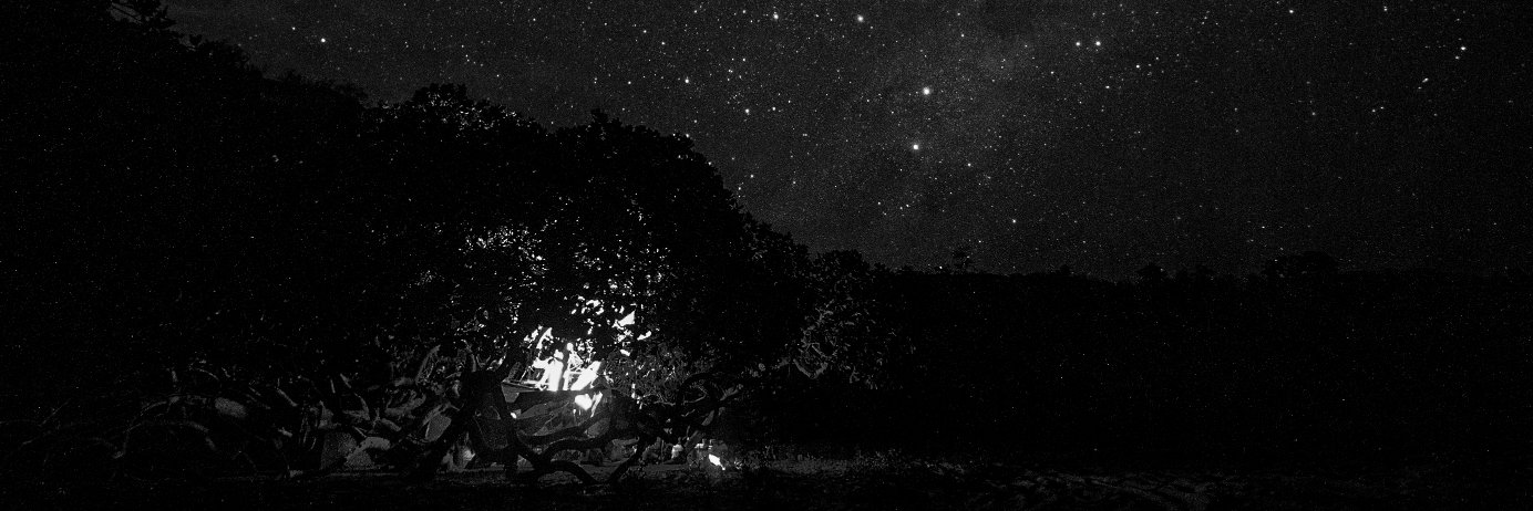 LeiteFi's profile banner image