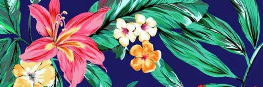ssofipv's profile banner image