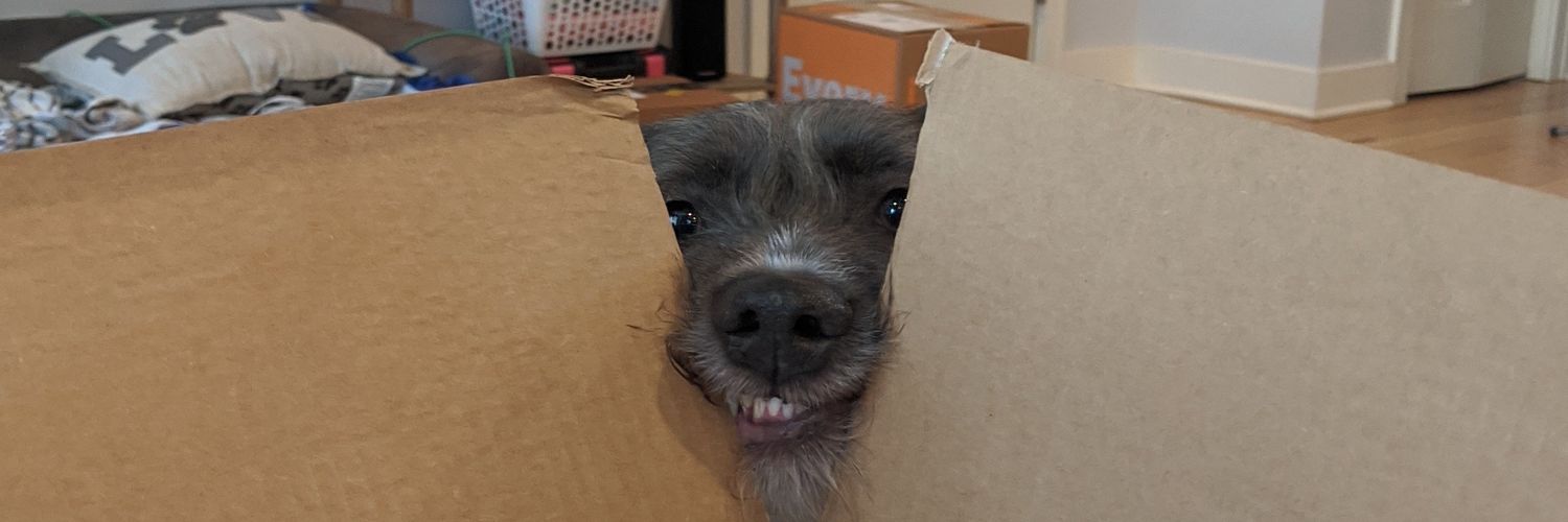 garbitch ❣️ banner