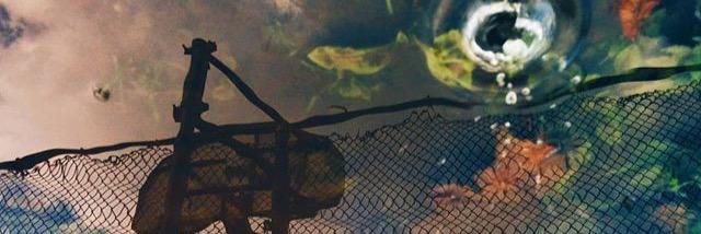 dontSAYaWRD's profile banner image