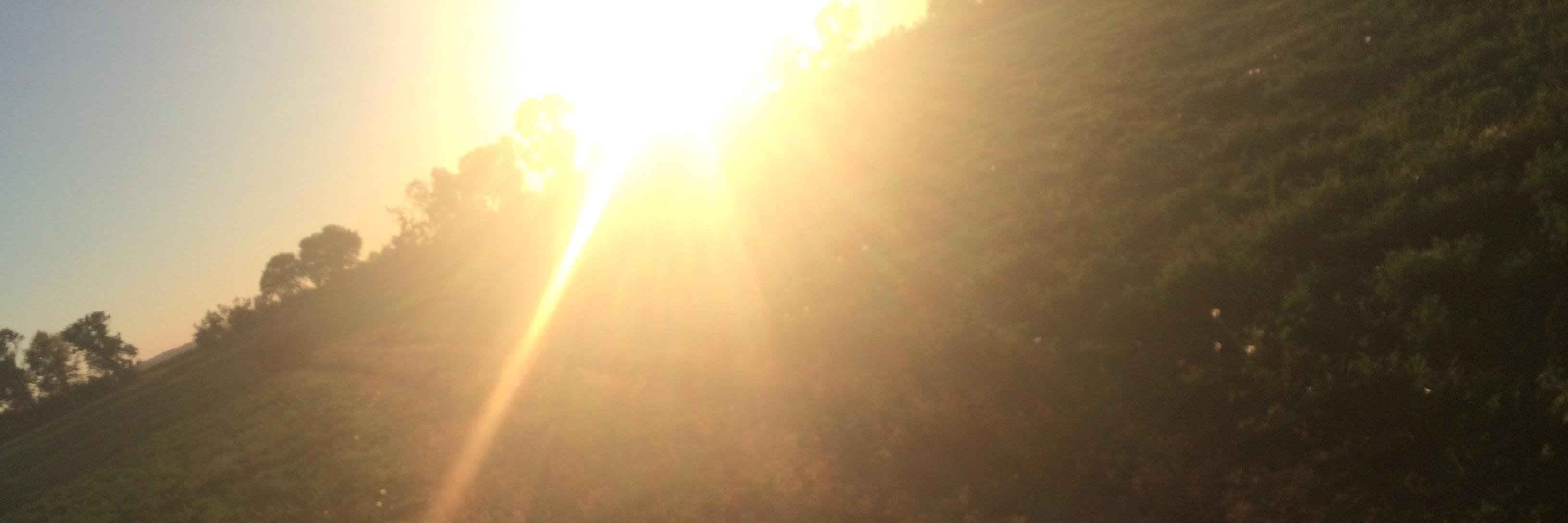 loeppkyb's profile banner image