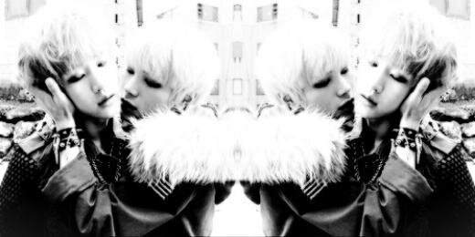 InsanityRol's profile banner image