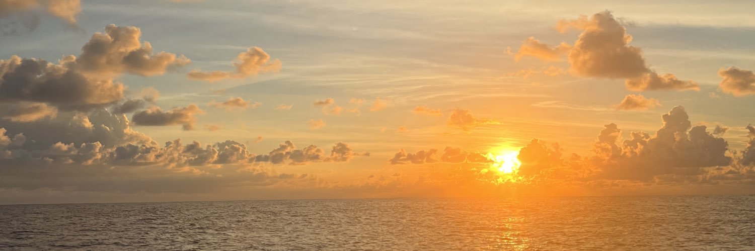 natalieandrocks's profile banner image