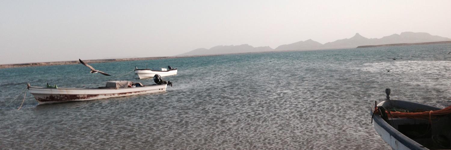 Mohamed Nimir banner