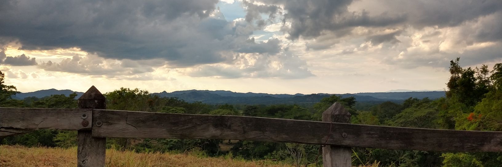 quinteroa_'s profile banner image