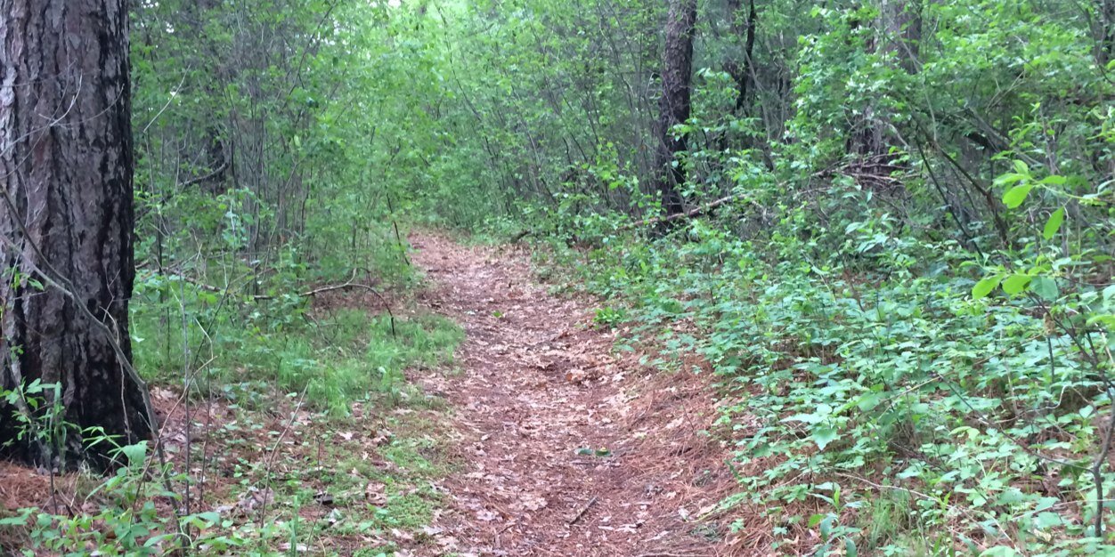 creature crew racing banner