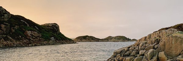 blaow Profile Banner