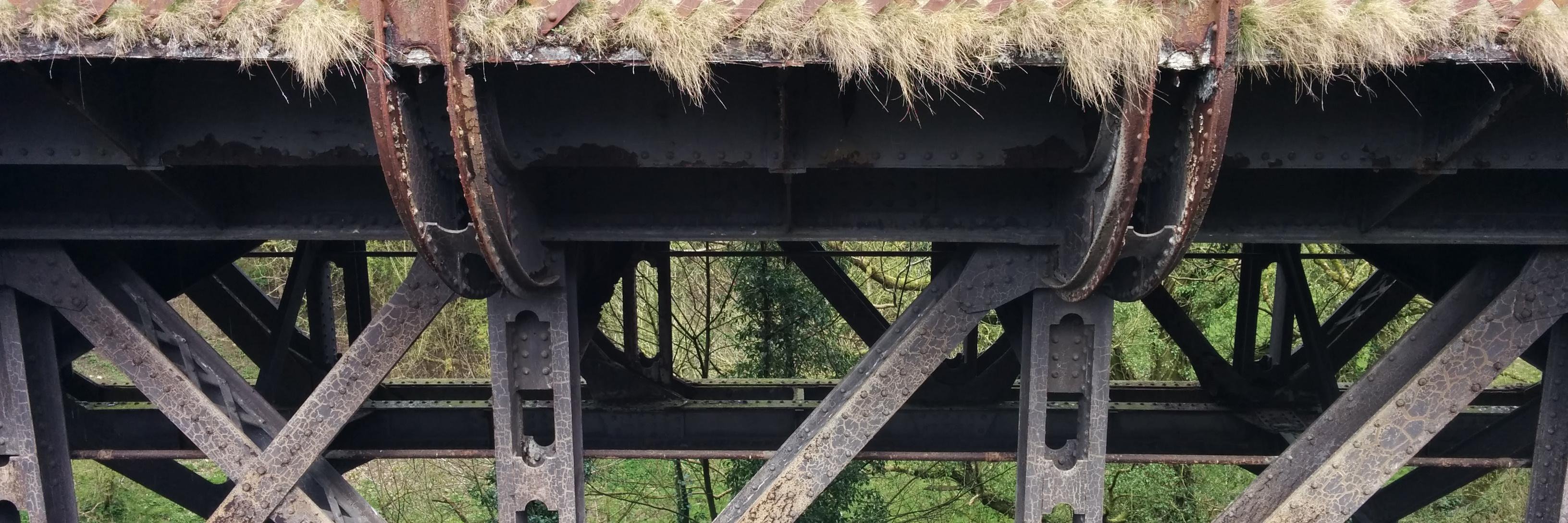 Marek Narkiewicz banner