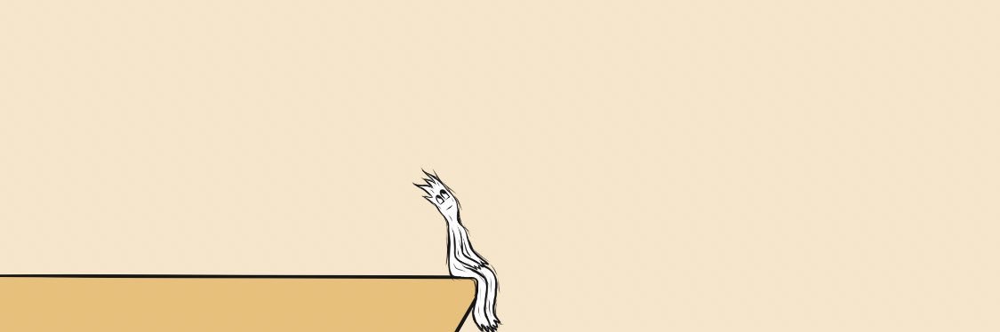 bbolsoni5's profile banner image