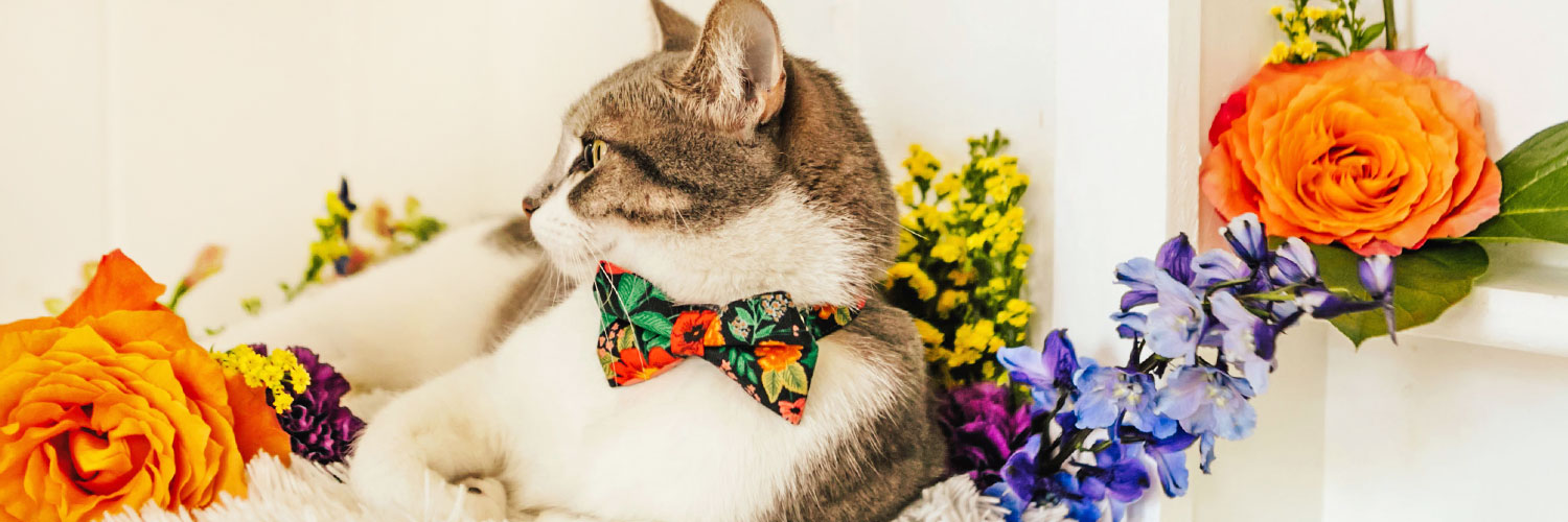 MadeByCleo's profile banner image