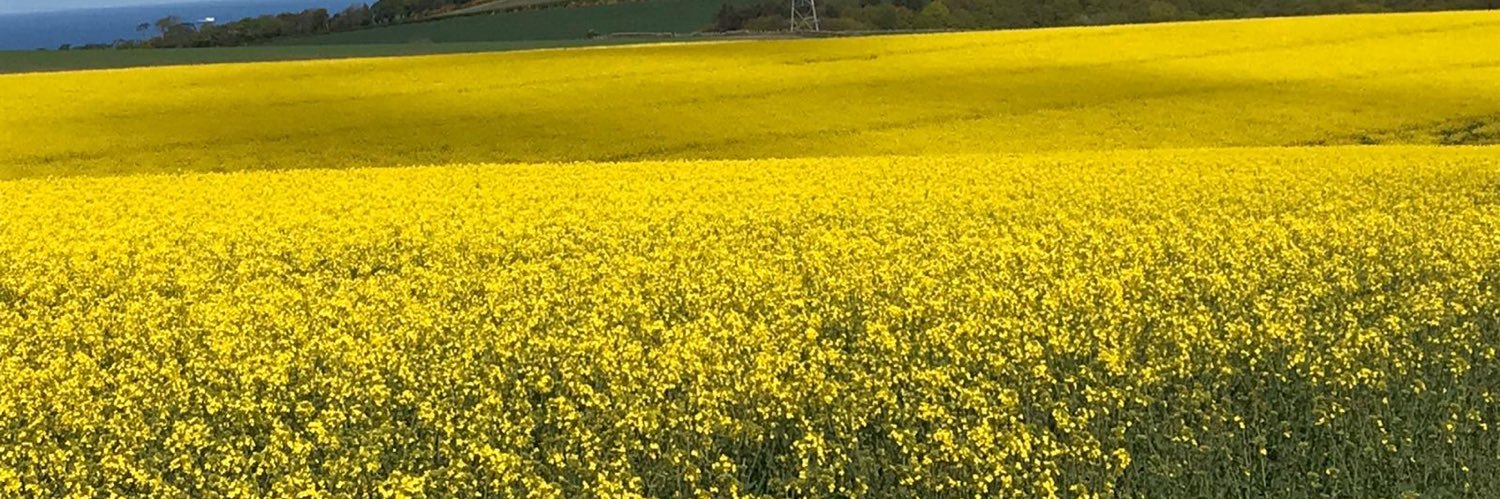 ECFarming's profile banner image