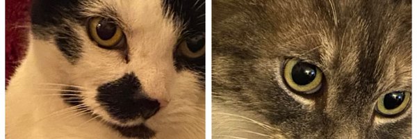 vickyplumwhite Profile Banner