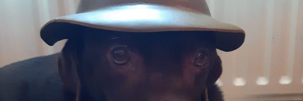 john_mccamon Profile Banner