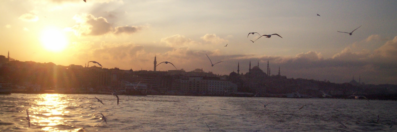 S. Süha Çubukçuoğlu banner