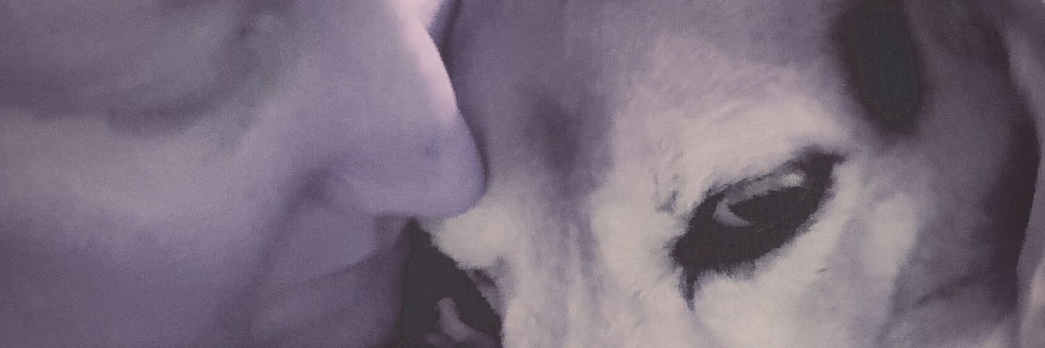 Morticia99's profile banner image