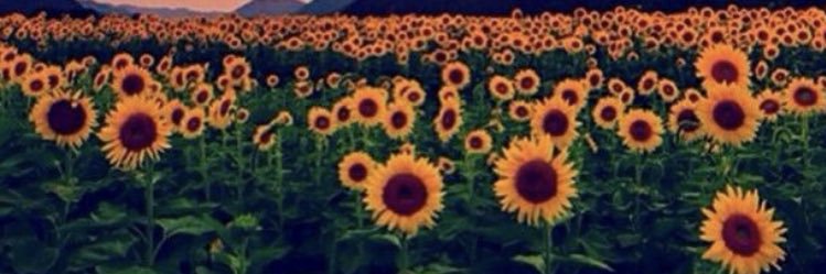 T_Pending's profile banner image