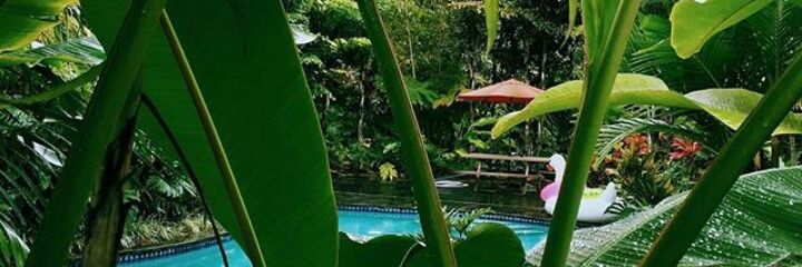TronoSinCorona's profile banner image