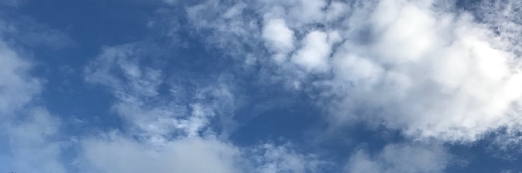 sillybeau's profile banner image