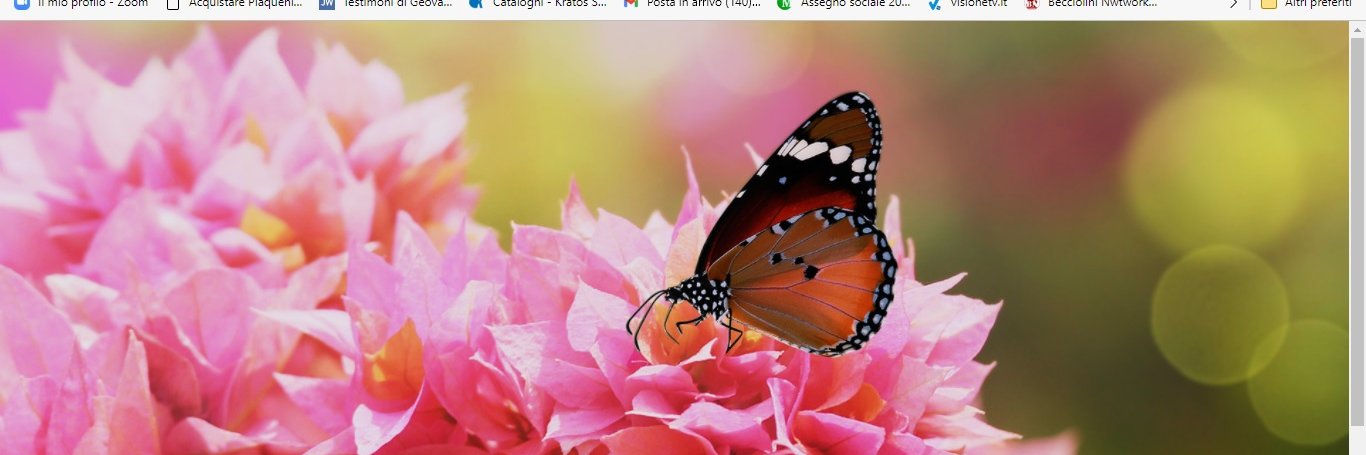 jusi_lee's profile banner image