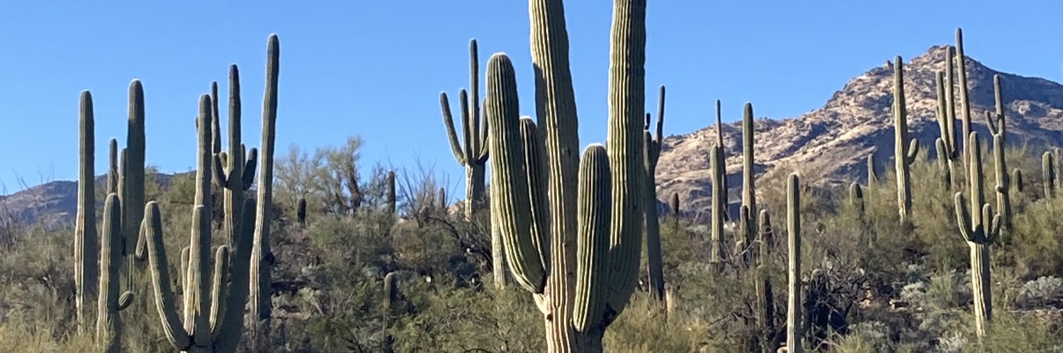 CRIhealthyworld's profile banner image