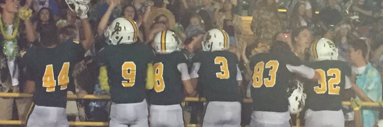 Rex Putnam HS banner