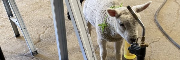 DpawsonGas Profile Banner