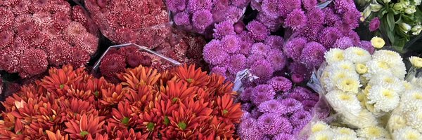 DinValentin Profile Banner