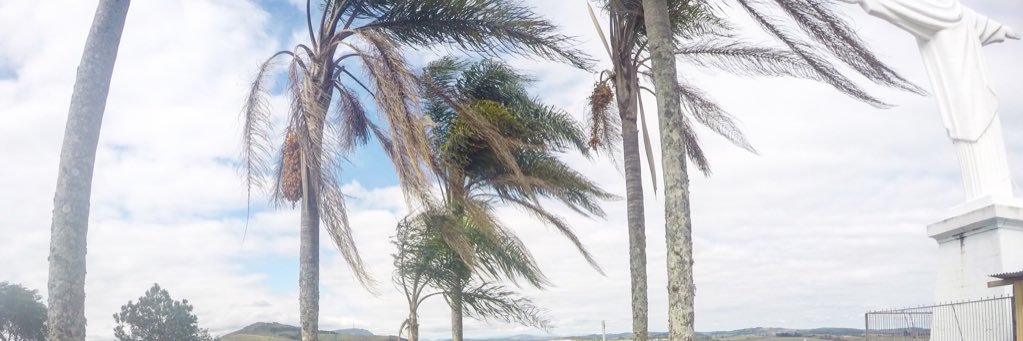 costaisaadora's profile banner image