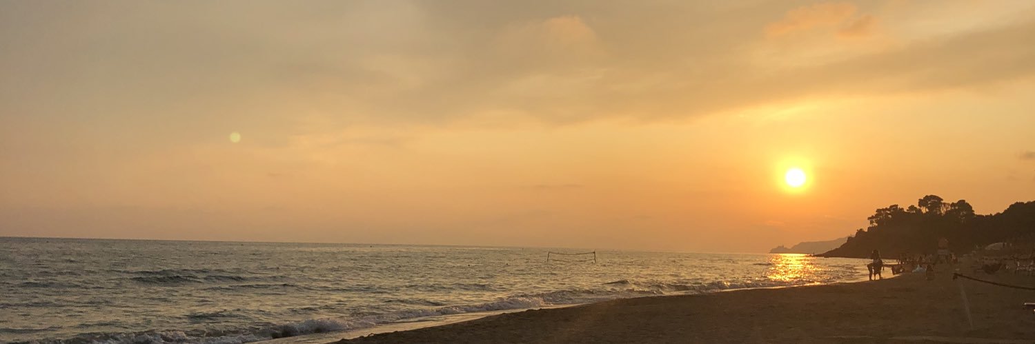 Max banner