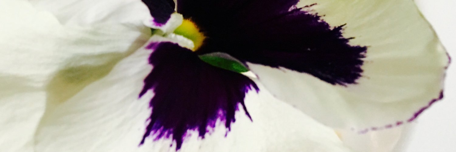 SensitiveHome's profile banner image