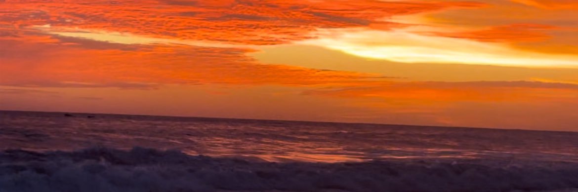 Fernanda Ríos banner