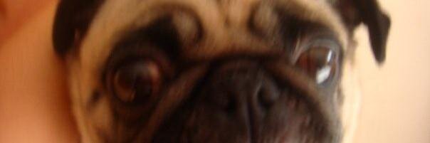 auntendora's profile banner image