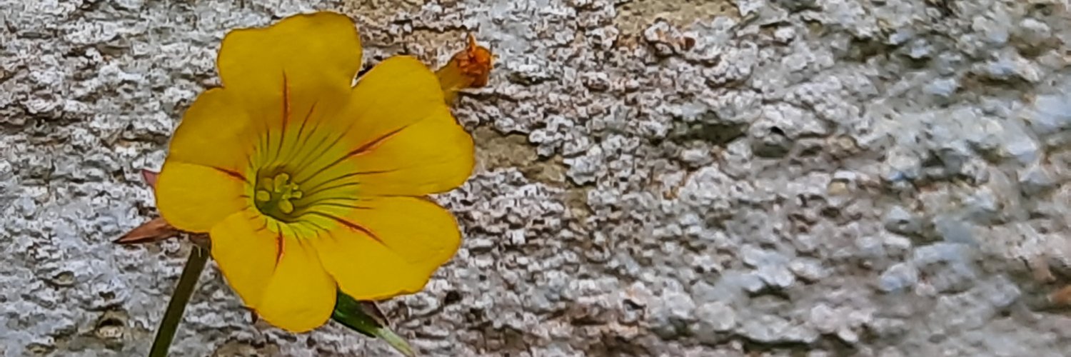 binu karunakaran banner