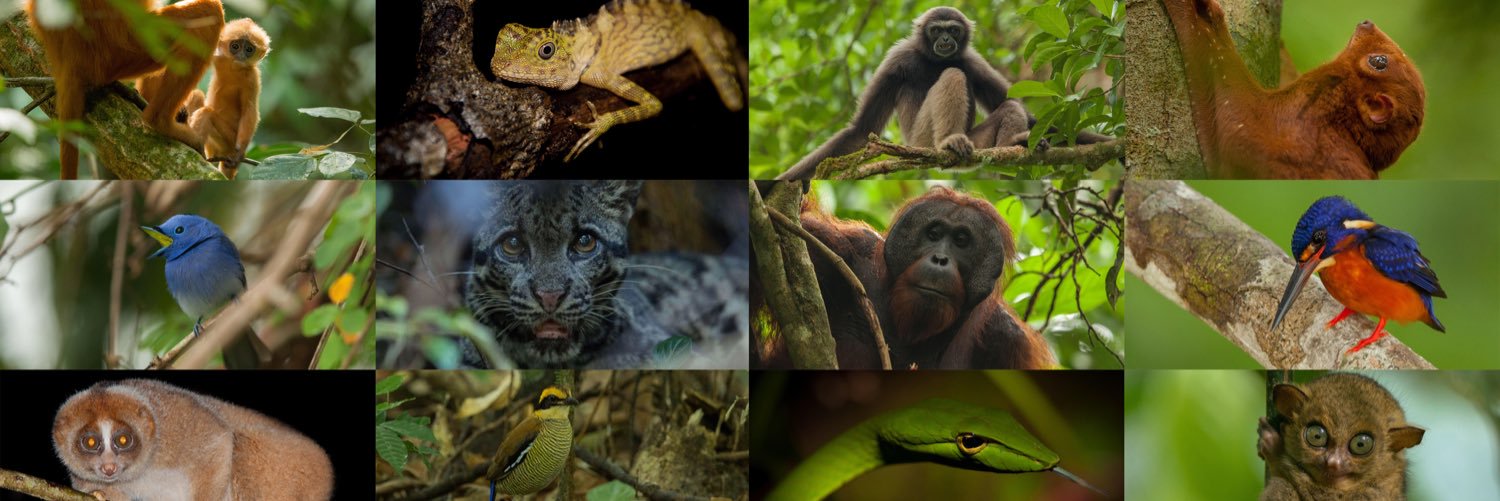 Sticky Rice Travel banner