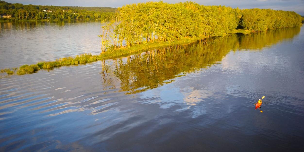 Second Nature banner