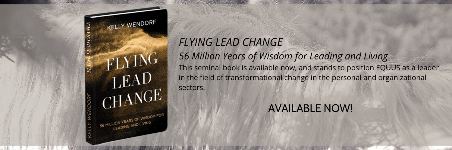 Kelly Wendorf banner