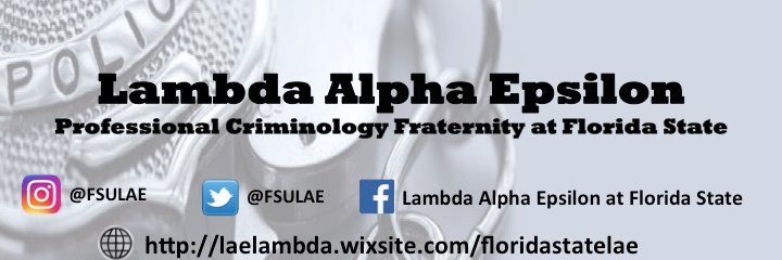 FSULAE's profile banner image