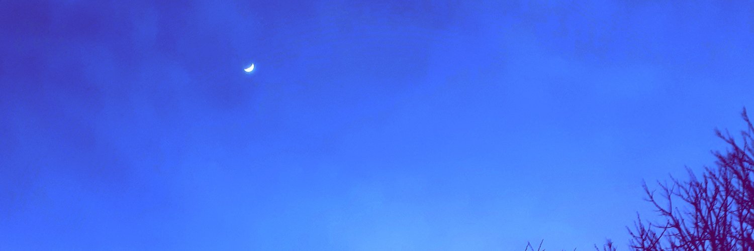Ryyu94's profile banner image