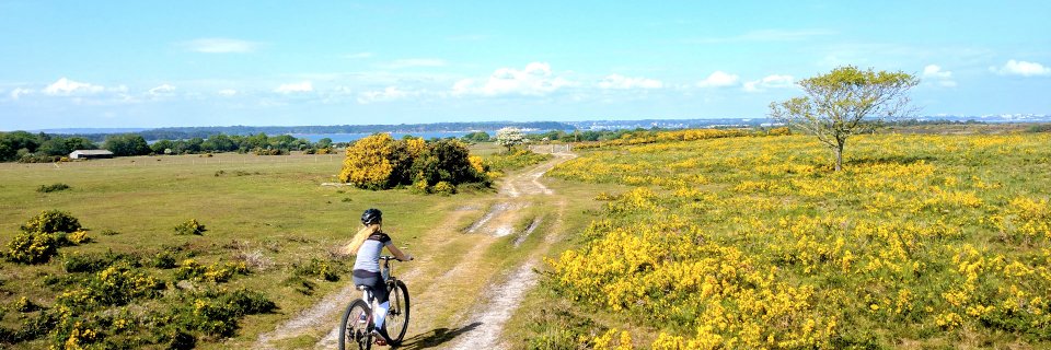 cycleXpurbeck's profile banner image